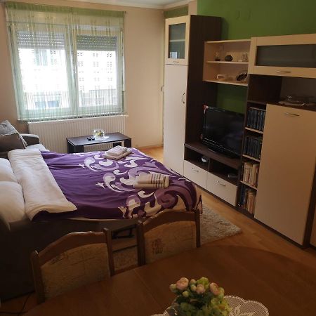 Dora Apartment Dakovo Exterior photo